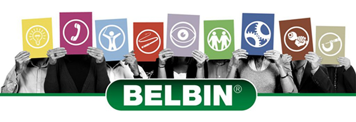 Построение команды по модели Belbin Team Roles