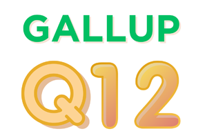 12 волшебных вопросов Гэллапа